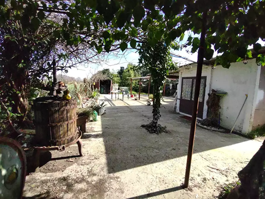 Immagine 29 di Casa indipendente in vendita  a Jesi