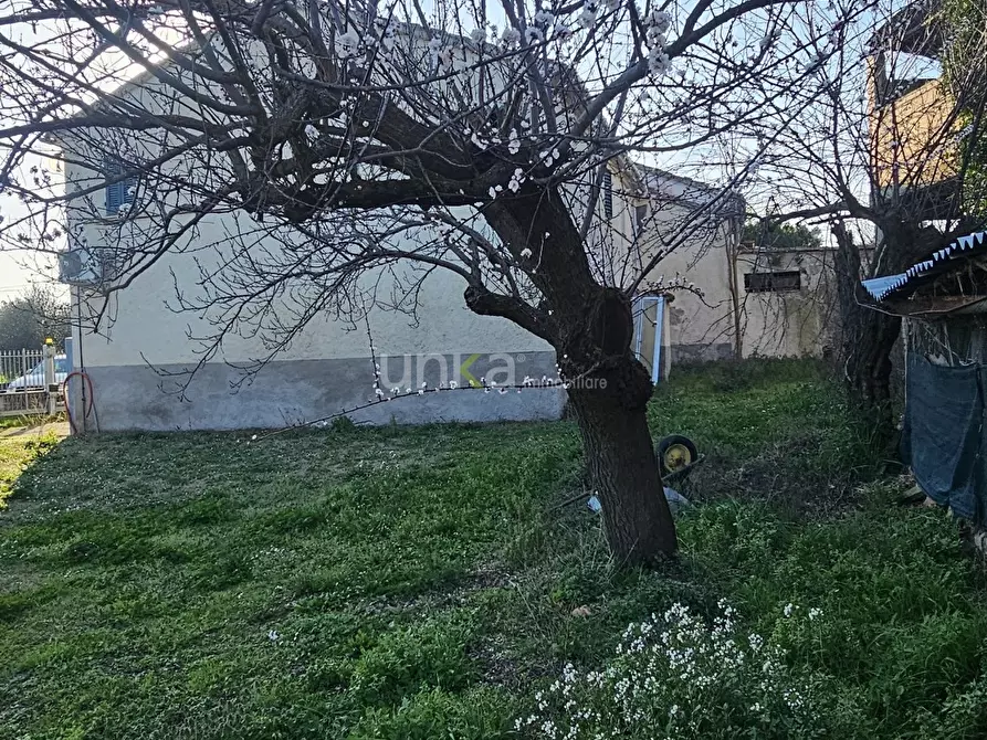 Immagine 7 di Casa indipendente in vendita  in Via San Martino 7 a Monsano