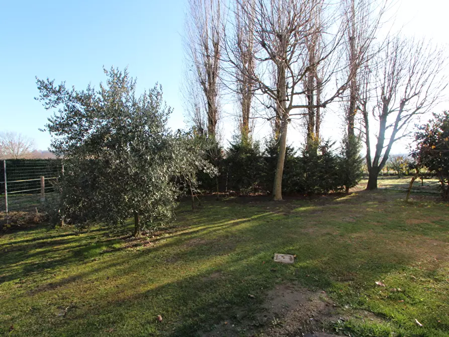 Immagine 11 di Casa indipendente in vendita  in Via Cassola a Valsamoggia