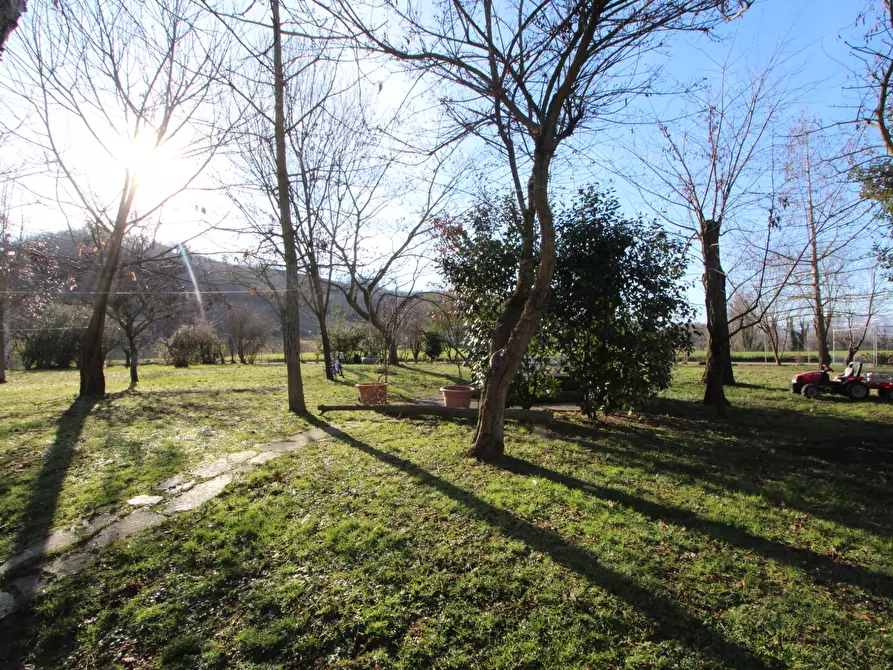 Immagine 11 di Porzione di casa in vendita  in Via Sant'Andrea a Valsamoggia