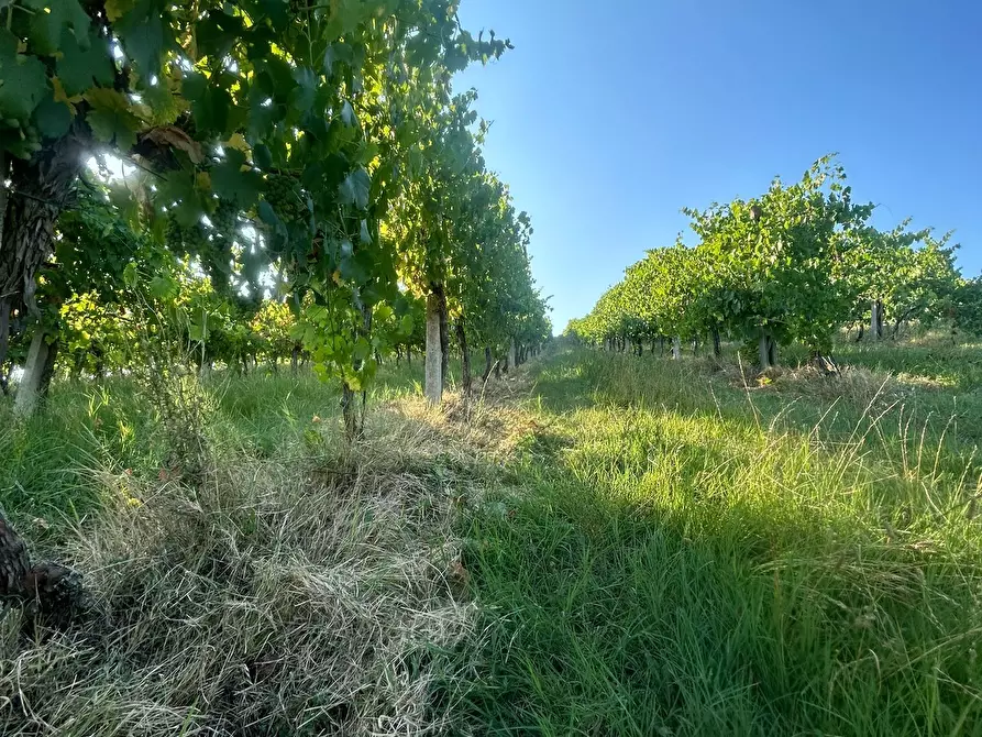 Immagine 10 di Porzione di casa in vendita  in Via Barlete a Valsamoggia