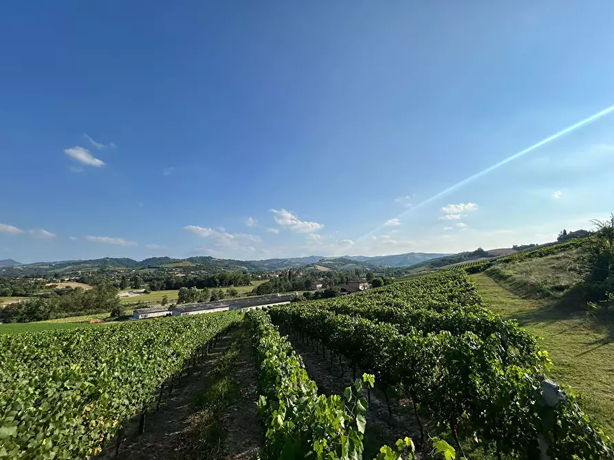 Immagine 21 di Porzione di casa in vendita  in Via Barlete a Valsamoggia