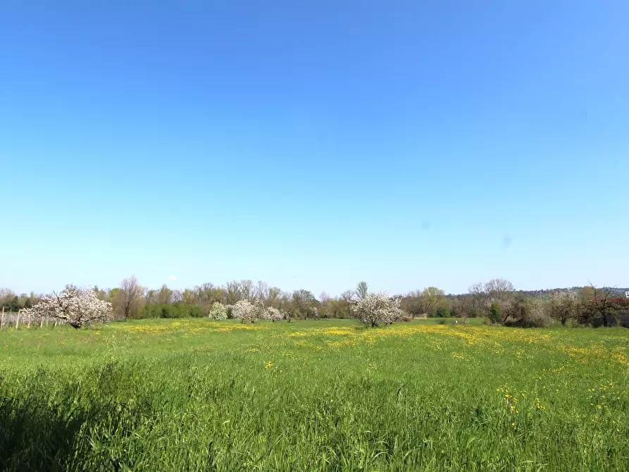 Immagine 3 di Porzione di casa in vendita  in Viale M. di Canossa a Valsamoggia