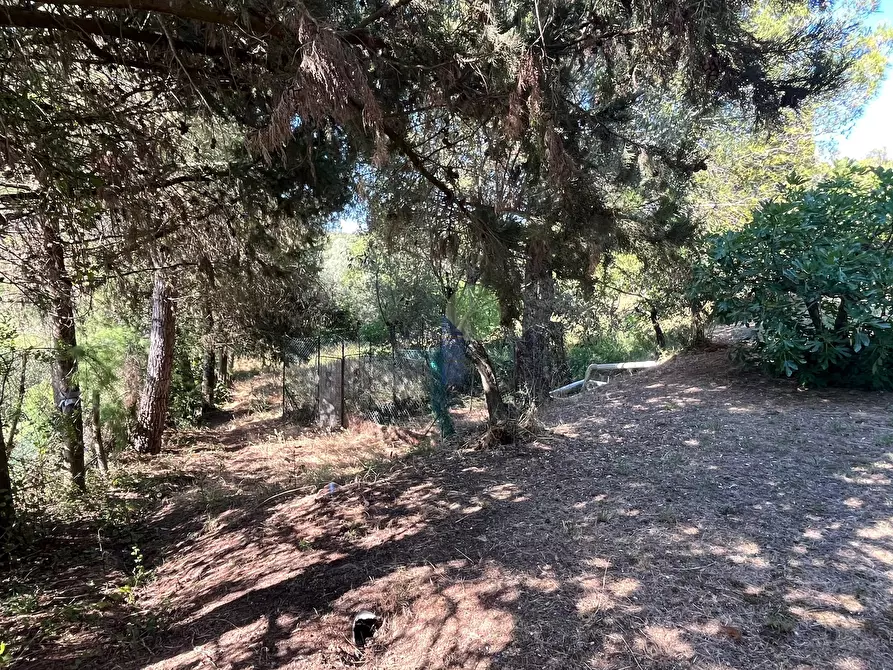 Immagine 12 di Terreno agricolo in vendita  in Via delle More 8 a Livorno