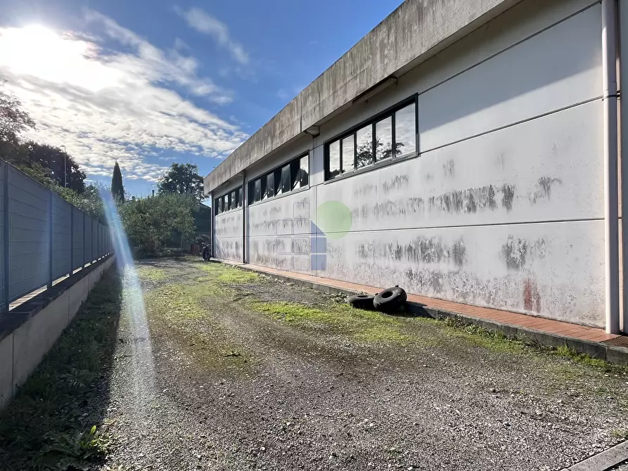 Immagine 18 di Attività artigianale in affitto  in Via dei Materassai 11 a Livorno