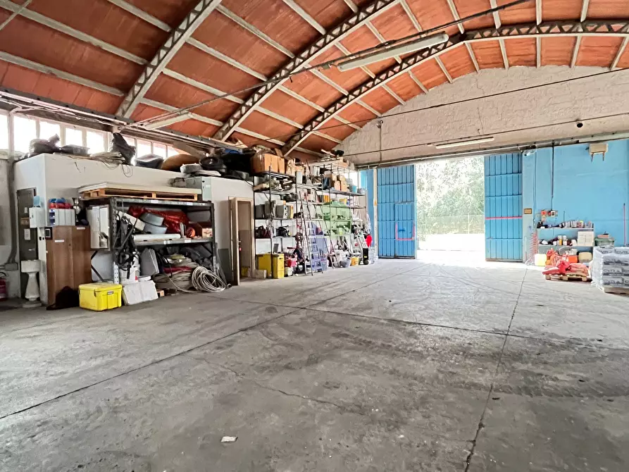 Immagine 2 di Attività artigianale in vendita  in Via di Poggio Gagliardo 11 a Montescudaio