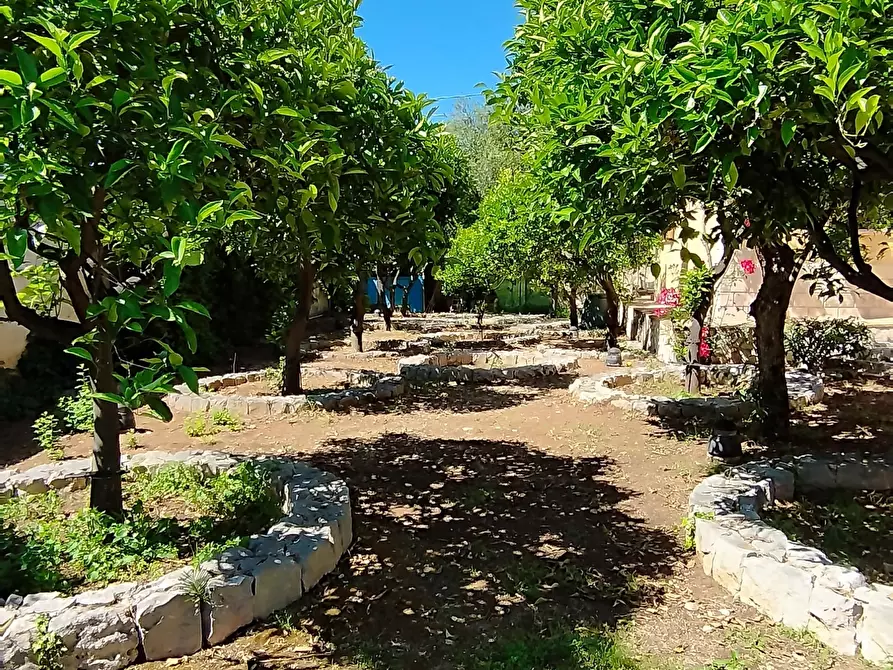 Immagine 59 di Villa in vendita  in Strada Tremmilia 143 a Siracusa