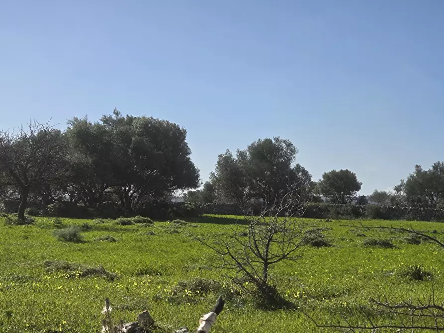 Immagine 11 di Terreno agricolo in vendita  in C.DA CUGNI SNC a Siracusa