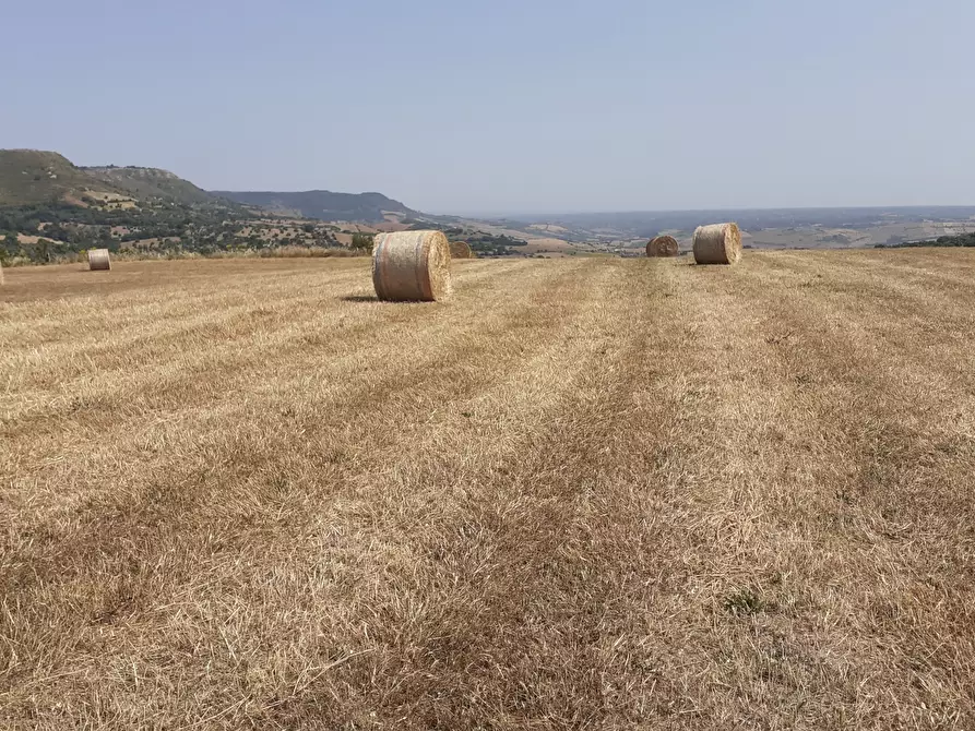 Immagine 37 di Terreno agricolo in vendita  in c.da Poi a Palazzolo Acreide