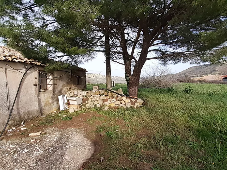 Immagine 16 di Terreno agricolo in vendita  in c.da Poi a Palazzolo Acreide