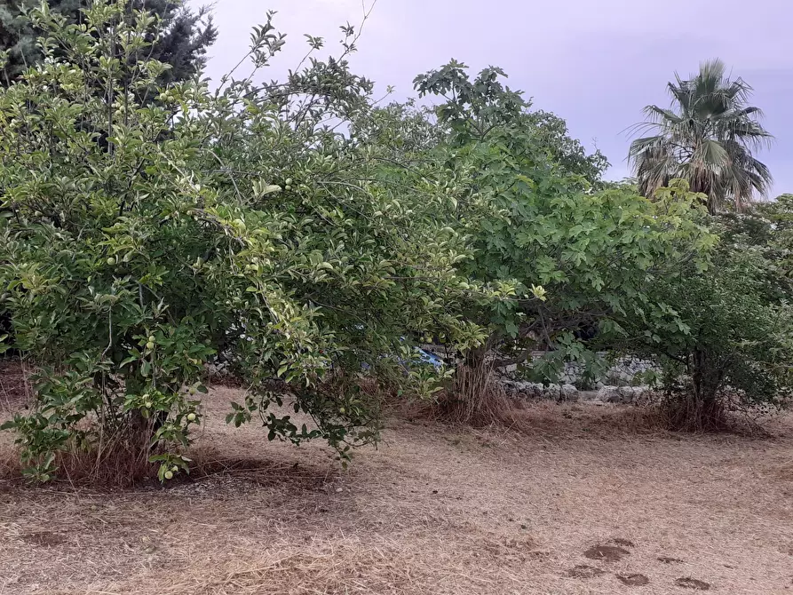 Immagine 62 di Villetta a schiera in vendita  in Via Acre 19 a Palazzolo Acreide
