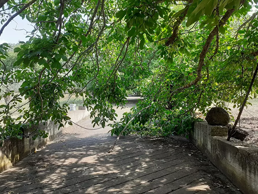 Immagine 51 di Rustico / casale in vendita  in Strada Provinciale 24 21 a Noto