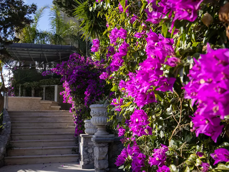 Immagine 133 di Villa in vendita  in Salita Giafari 25 a Taormina