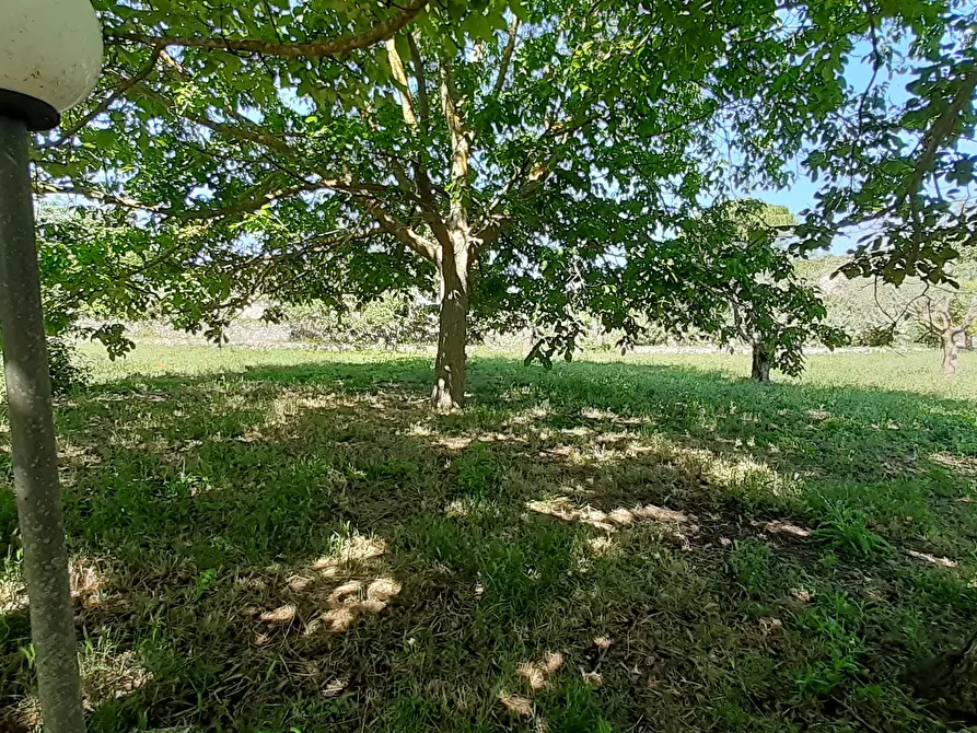 Immagine 26 di Rustico / casale in vendita  in Strada Provinciale 24 21 a Noto