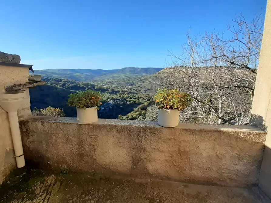 Immagine 6 di Terreno agricolo in vendita  in Via  Roma a Palazzolo Acreide