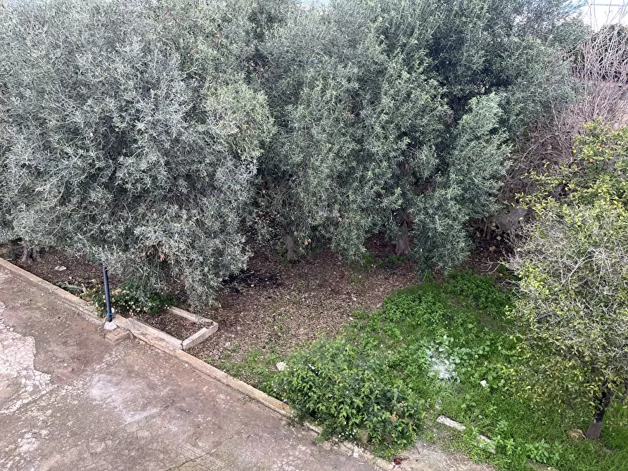 Immagine 14 di Villa in vendita  in Strada Ognina 70 a Siracusa