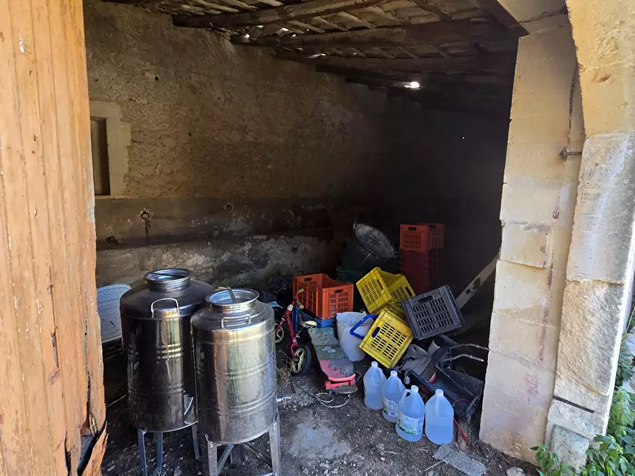 Immagine 21 di Terreno agricolo in vendita  in C.DA CUGNI SNC a Siracusa