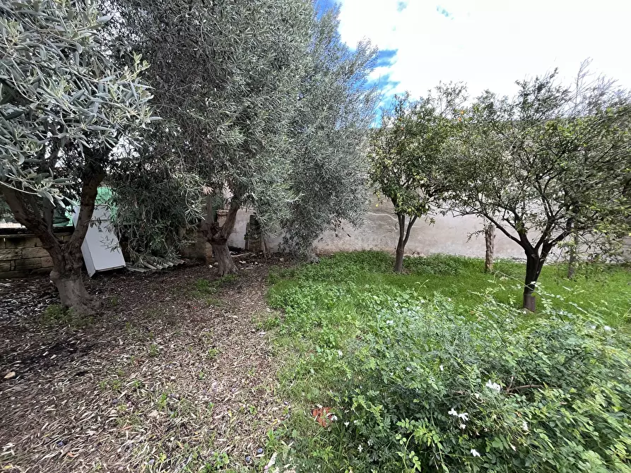 Immagine 13 di Villa in vendita  in Strada Ognina 70 a Siracusa