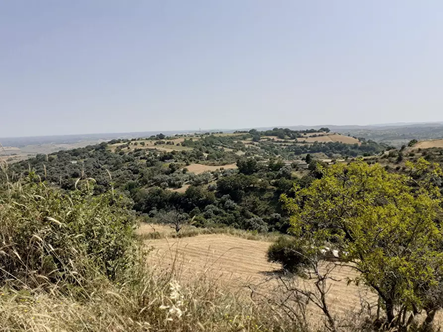 Immagine 45 di Rustico / casale in vendita  in c.da Poi a Palazzolo Acreide