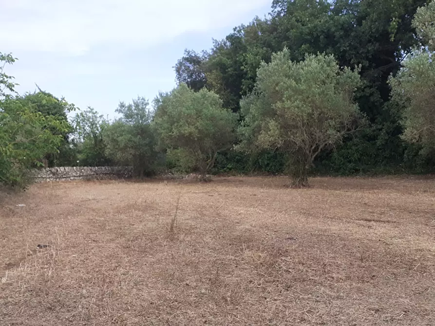 Immagine 69 di Villetta a schiera in vendita  in Via Acre 19 a Palazzolo Acreide