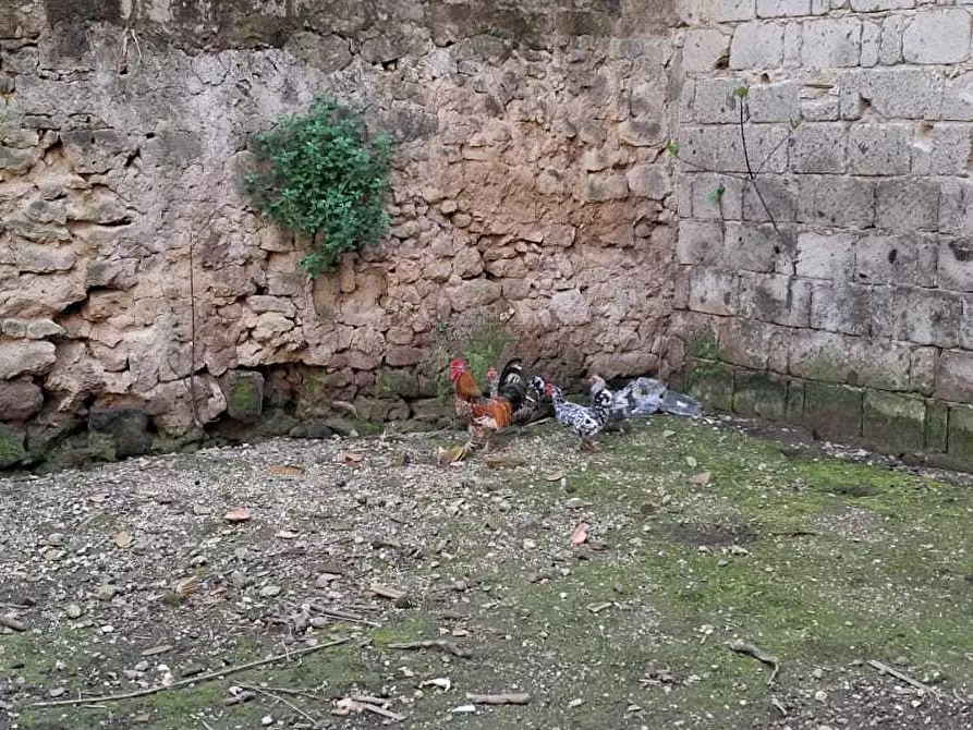 Immagine 20 di Casa bifamiliare in vendita  in Via Sambuci a San Prisco