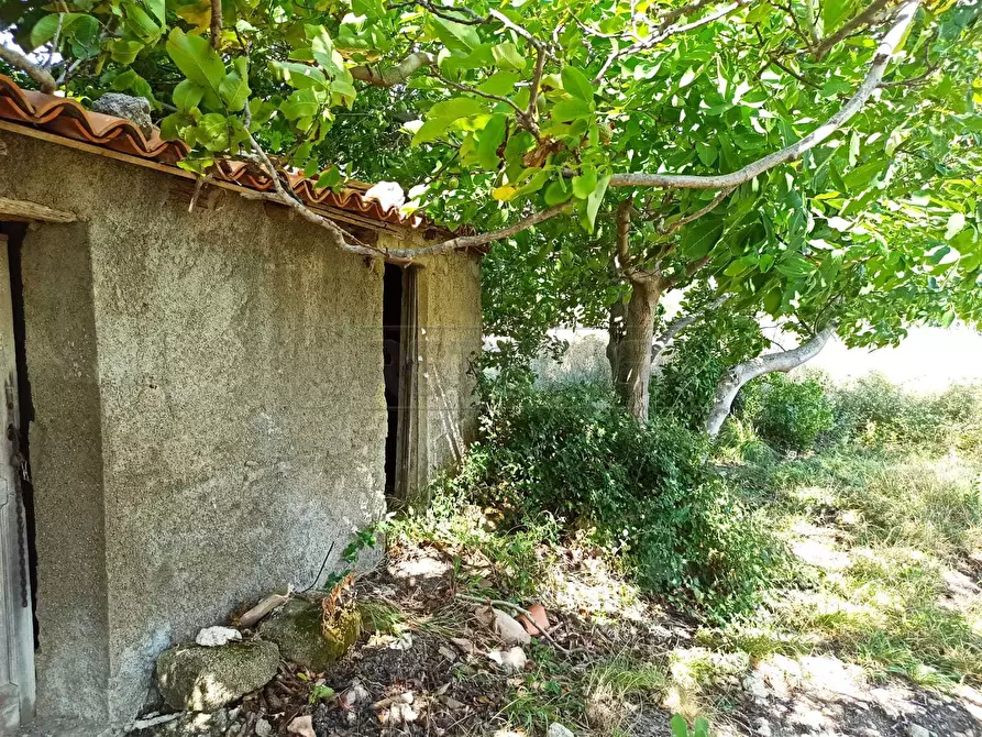 Immagine 12 di Rustico / casale in vendita  in Contrada Sant'Anna 39 a Messina
