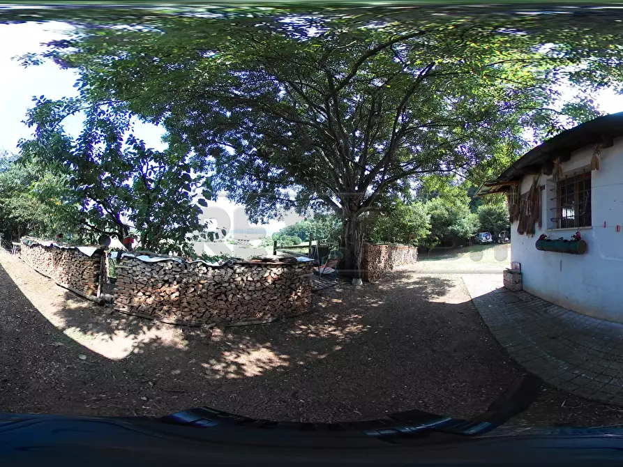 Immagine 46 di Terreno agricolo in vendita  in Via Bazziola a Monteviale