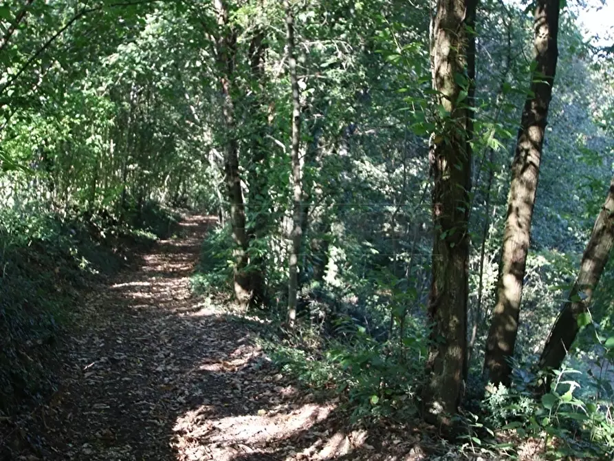 Immagine 25 di Terreno agricolo in vendita  a Arcugnano