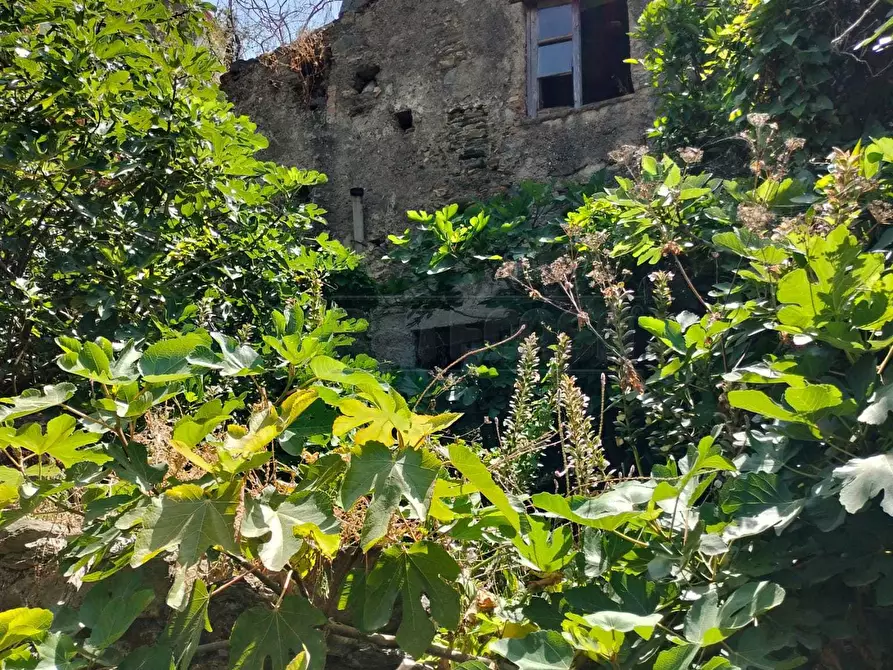 Immagine 1 di Terreno agricolo in vendita  in Vico Trave in Giampilieri Superiore 15 a Messina