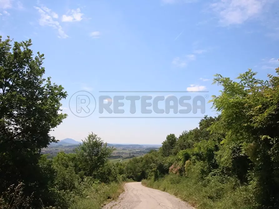 Immagine 13 di Terreno agricolo in vendita  in Via Castellaro a Castegnero