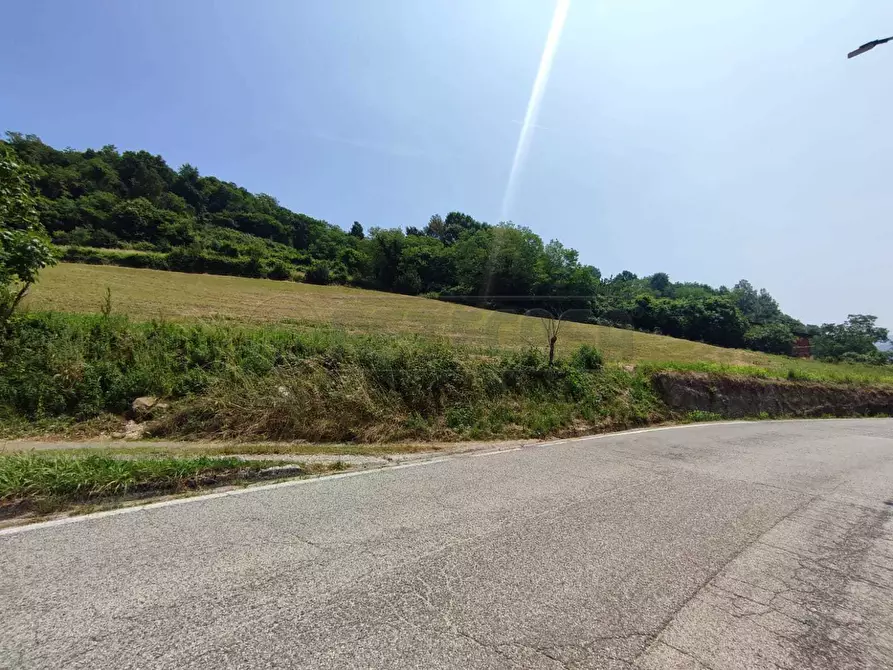 Immagine 8 di Terreno agricolo in vendita  in Via Sgaggeri 4 a Chiampo