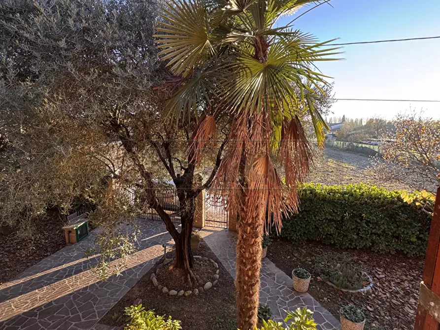 Immagine 25 di Casa indipendente in vendita  a Mirano