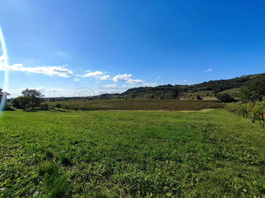 Immagine 2 di Terreno edificabile in vendita  in Contrada Selva 52 a Montebello Vicentino
