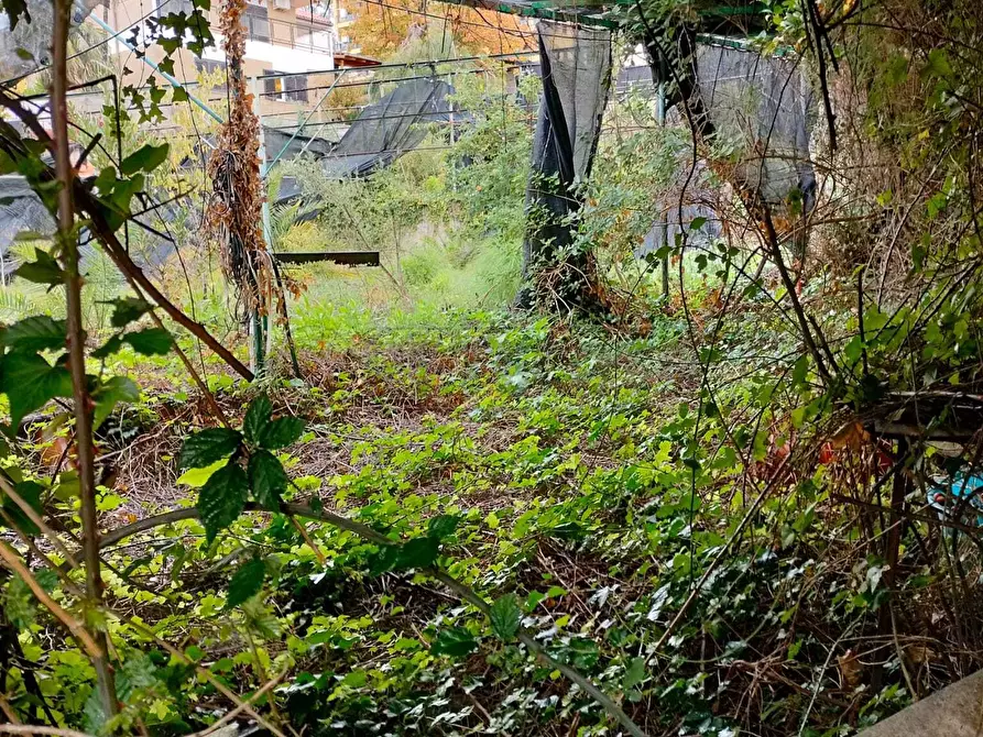 Immagine 5 di Terreno agricolo in vendita  in Vico del Maró 6 a Messina