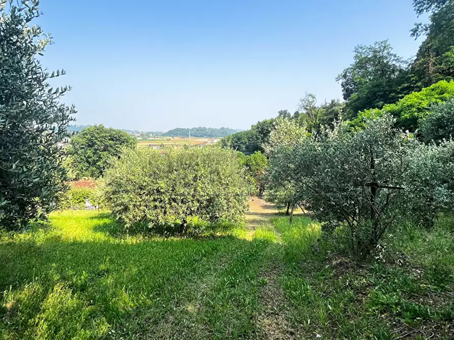Immagine 11 di Terreno agricolo in vendita  in Via Bazziola a Monteviale
