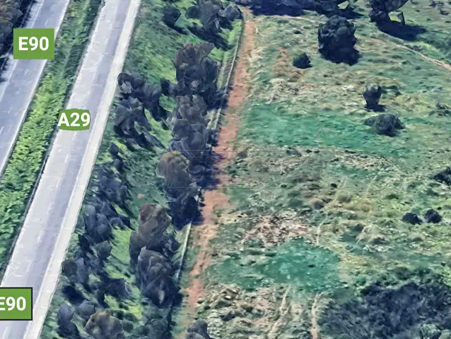 Immagine 3 di Terreno agricolo in vendita  a Castelvetrano