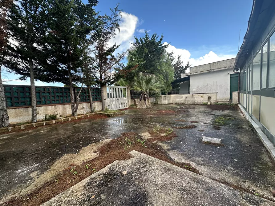 Immagine 9 di Villetta a schiera in vendita  a Campobello Di Mazara