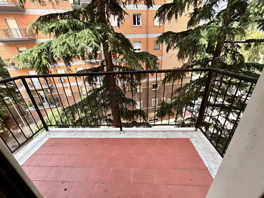Immagine 14 di Trilocale in vendita  in Via Istria 4 a Caltanissetta
