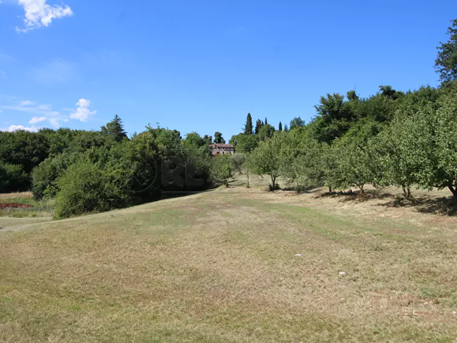 Immagine 9 di Rustico / casale in vendita  in Via Arcisi 8 a Val Liona