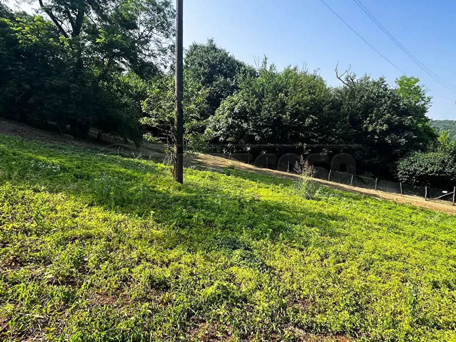 Immagine 40 di Terreno agricolo in vendita  in Via Bazziola a Monteviale
