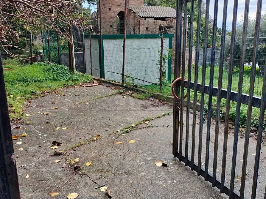 Immagine 3 di Terreno agricolo in vendita  in Vico del Maró 6 a Messina