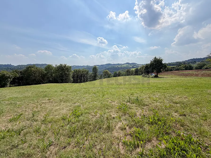 Immagine 4 di Terreno agricolo in vendita  in Via Castegnini di Sopra a Sovizzo