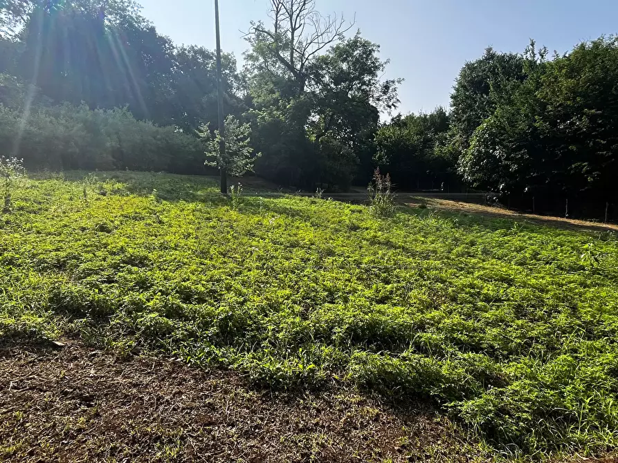 Immagine 41 di Terreno agricolo in vendita  in Via Bazziola a Monteviale
