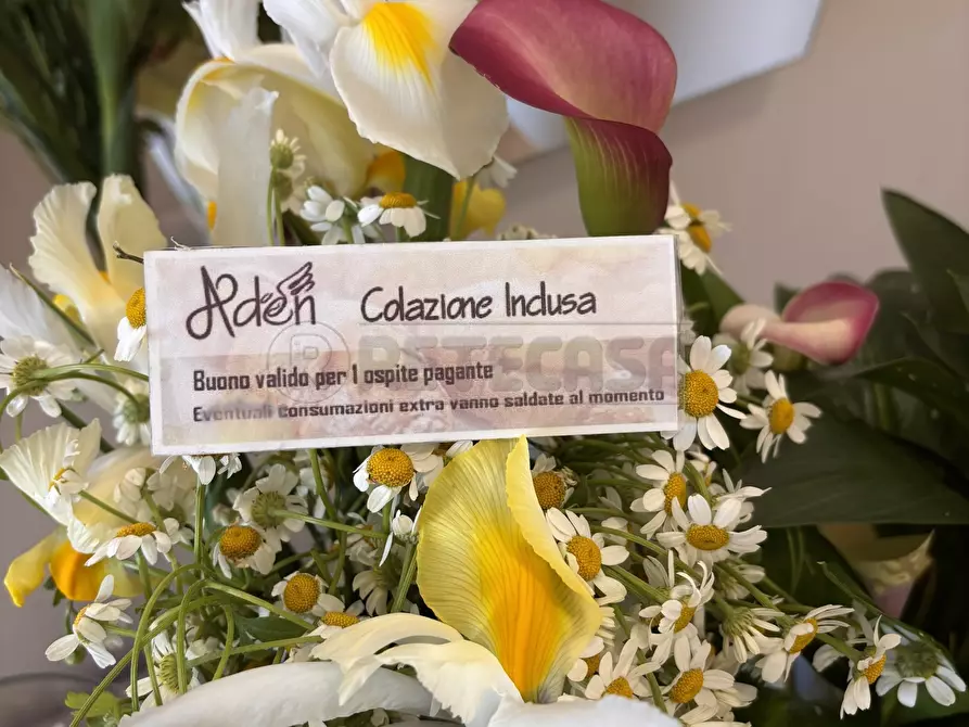 Immagine 55 di Pentalocale in vendita  in Via delle tessitrici 1 a Sannicola