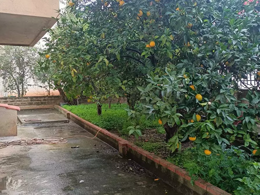 Immagine 7 di Casa semindipendente in vendita  a Castelvetrano