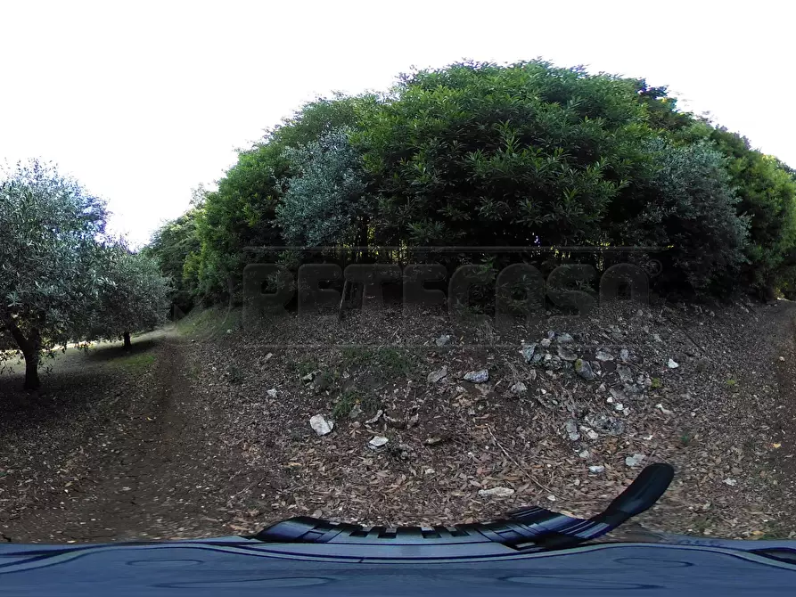 Immagine 55 di Terreno agricolo in vendita  in Via Bazziola a Monteviale