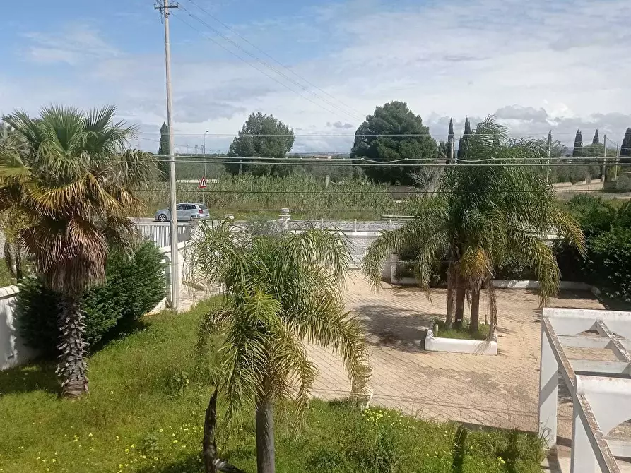 Immagine 6 di Villa in vendita  a Castelvetrano