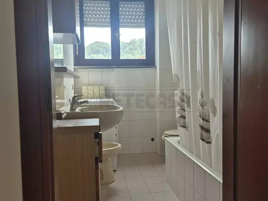 Immagine 11 di Trilocale in affitto  a Albano Sant'alessandro