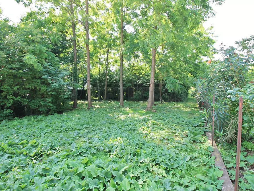 Immagine 3 di Terreno edificabile in vendita  in Piazza G. Marconi 22 a Gambellara