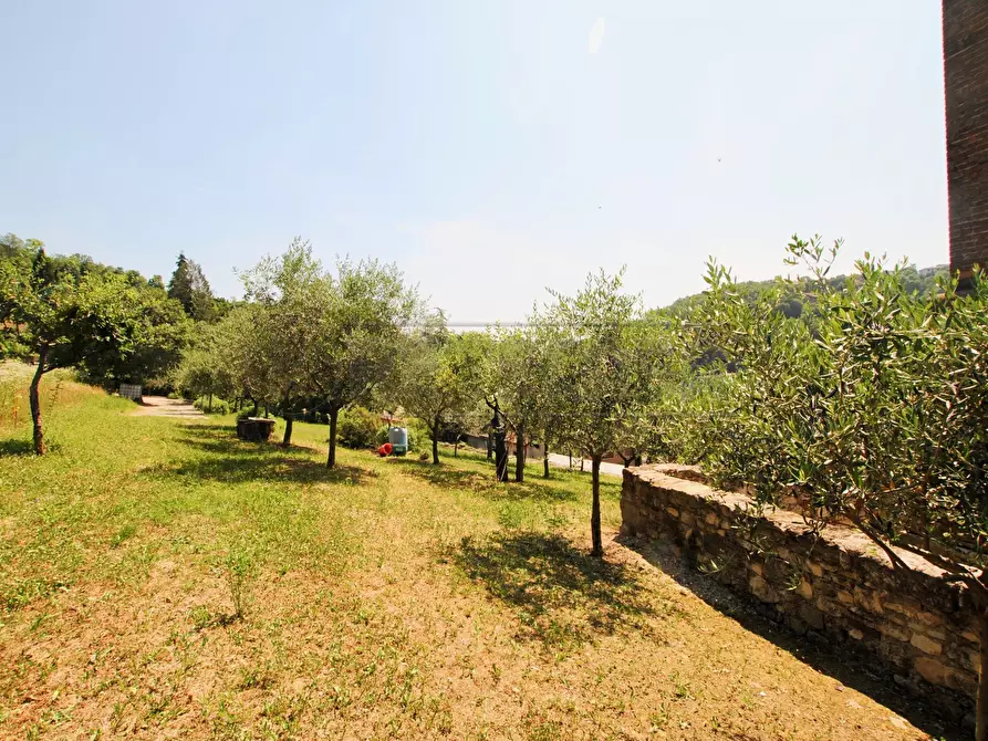 Immagine 4 di Terreno edificabile in vendita  in via castello SNC a Castelgomberto